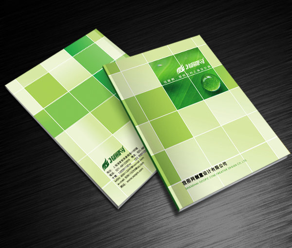 嘉興廣告公司提供設計制作企業(yè)產品宣傳畫冊
